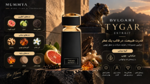 عطر مردانه خنک و تلخ بولگاری تایگار؛ خنک، تلخ و لوکس